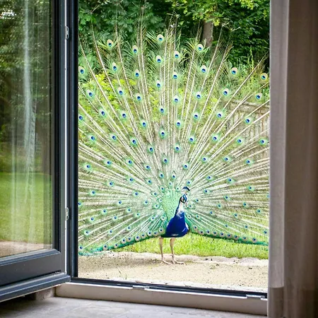 Vacation Near The Keezer Holiday home *