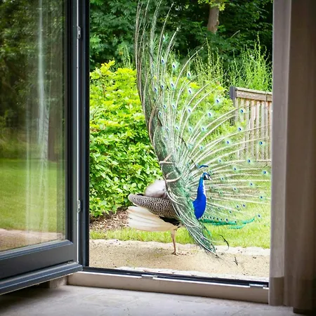 Vacation Near The Keezer Holiday home Kloster Tempzin